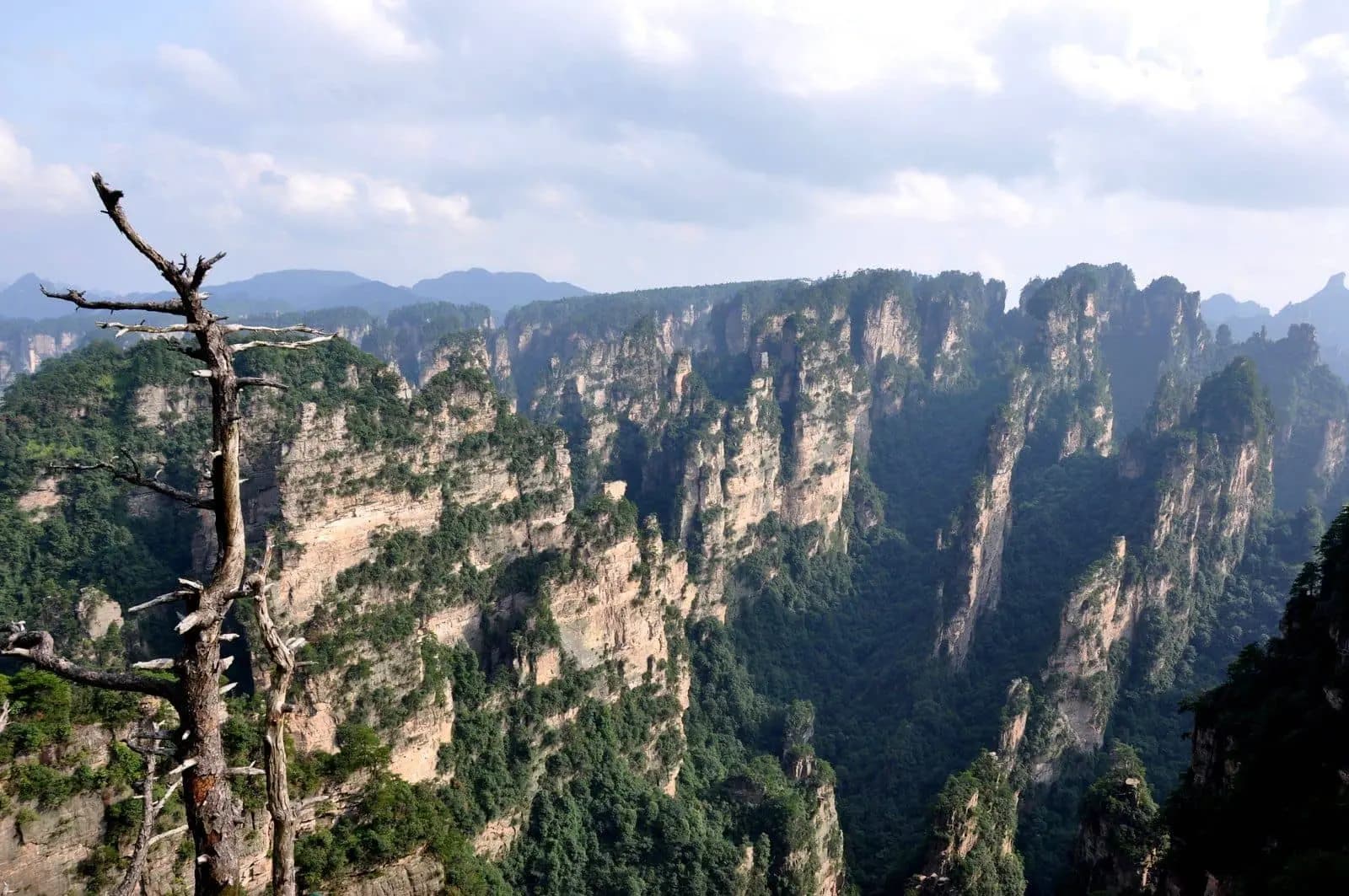 le point de vue "one step to Heaven" dans le parc national de ZhangJiaJie : des pitons rocheux gigantesques sortent de terres, la forêt luxuriante à leur pieds