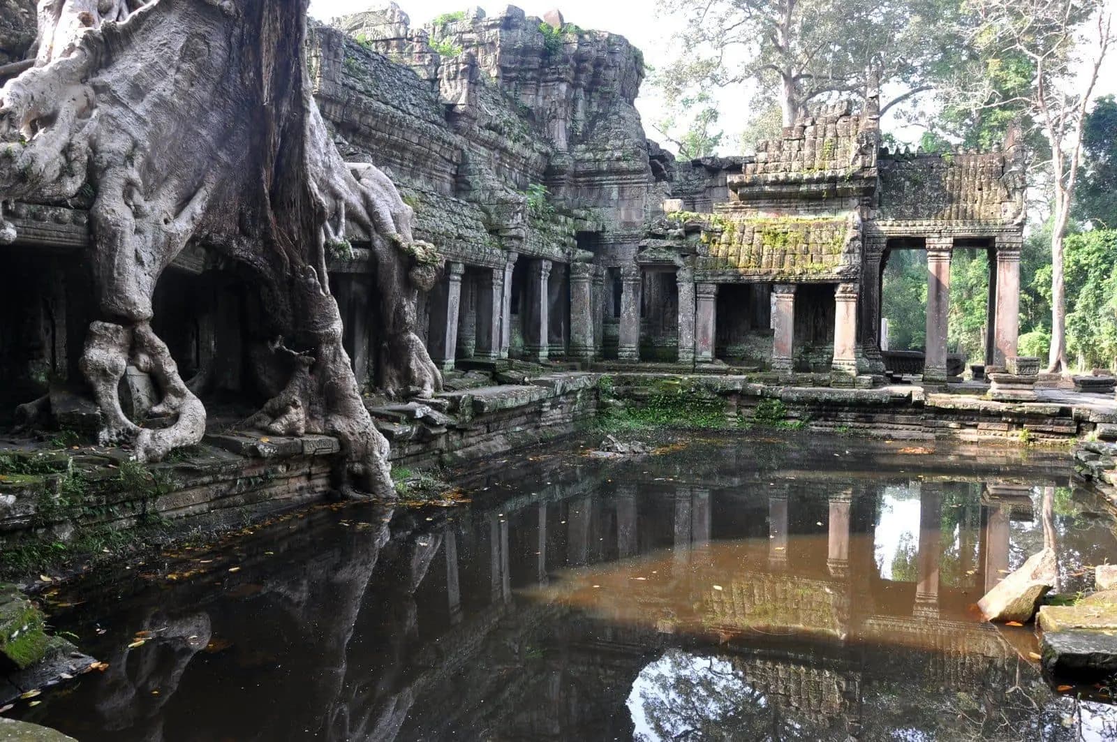 un temple d'Angkor les pieds dans l'eau et recouvert d'énormes racines